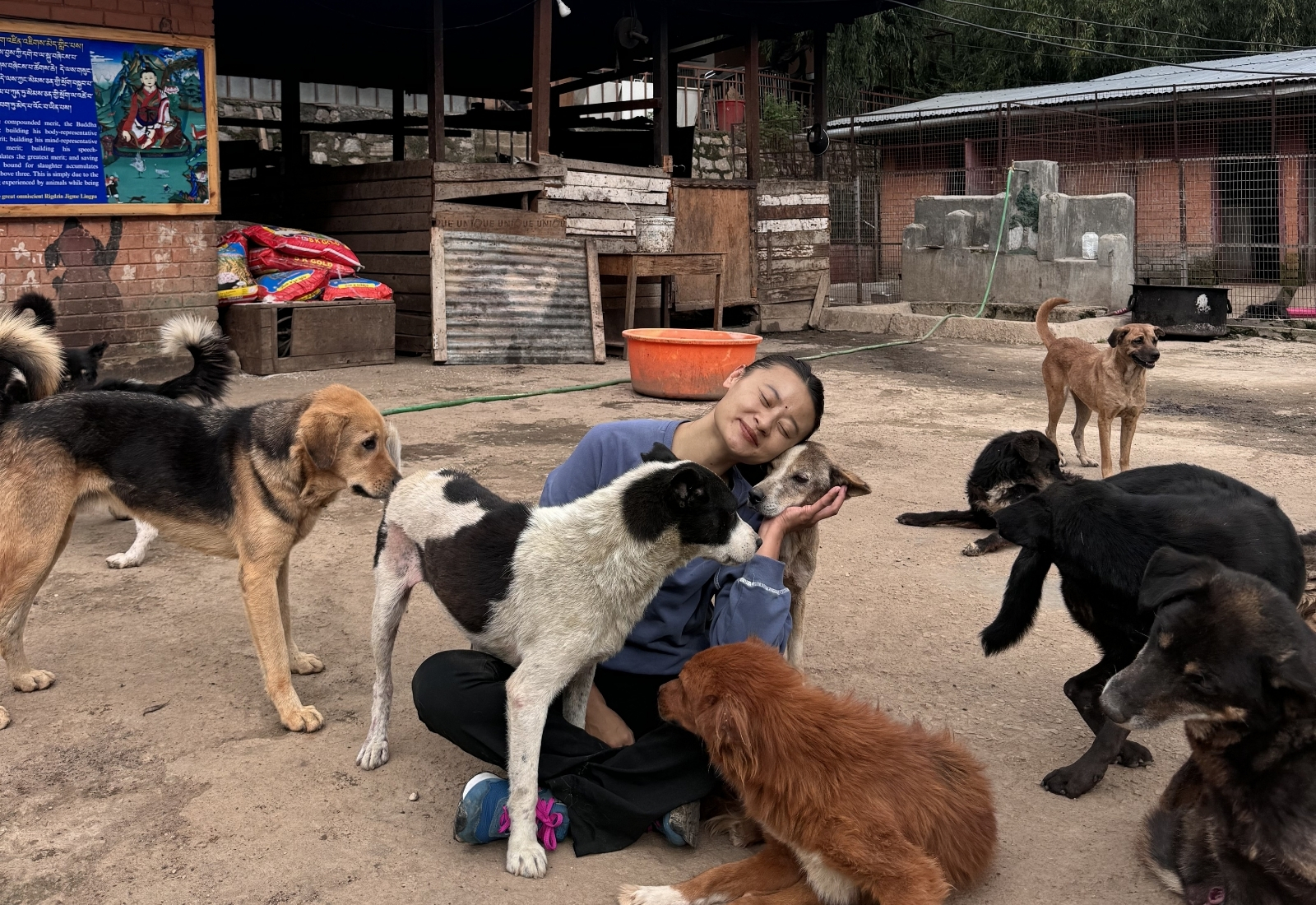 Yangchen with rescued dogs at Jangsa Animal Saving Trust in Bhutan