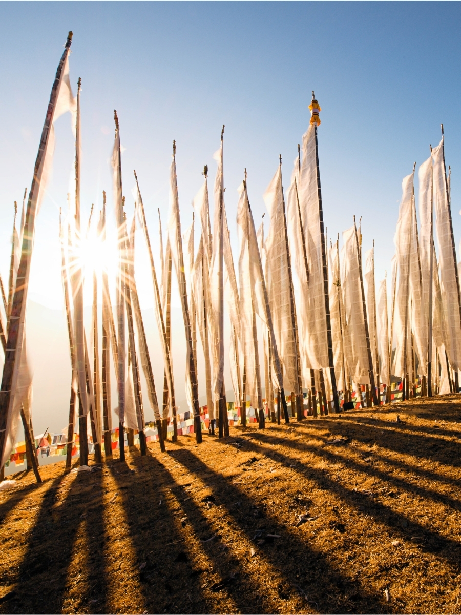 Prayer Flags - crop 1 - Media page
